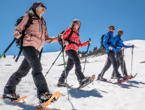 снігоступи